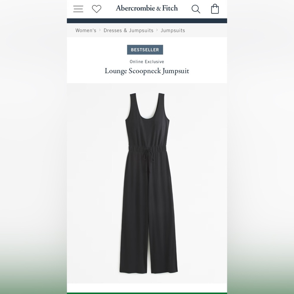 Abercrombie and Fitch Traveler Jumpsuit